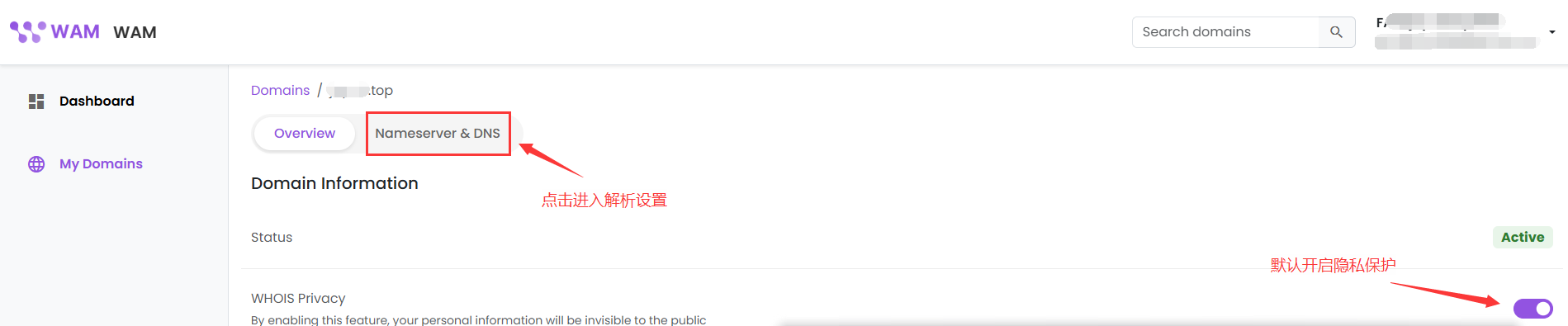 点击 Nameserver 和 DNS 设置 点击 Nameserver 和 DNS 设置